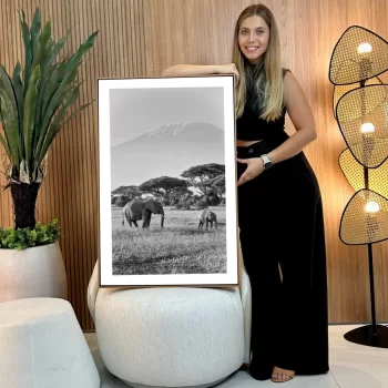 Quadro Decorativo Savana Família De Elefantes I