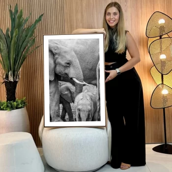 Quadro Decorativo Savana Família De Elefantes II