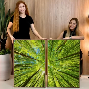 Kit Quadro Decorativo Copa Das Árvores I