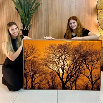 Quadro Decorativo Árvores Secas Fim De Tarde