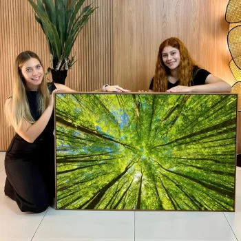 Quadro Decorativo Copa Das Árvores II