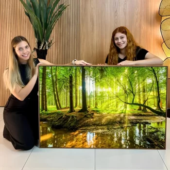 Quadro Decorativo Floresta