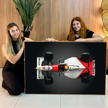 Quadro Decorativo Carro De Fórmula 1 AY