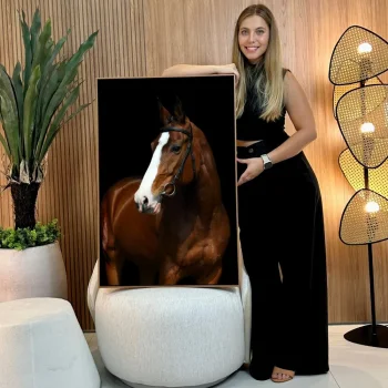 Quadro Decorativo Elegância Equestre II